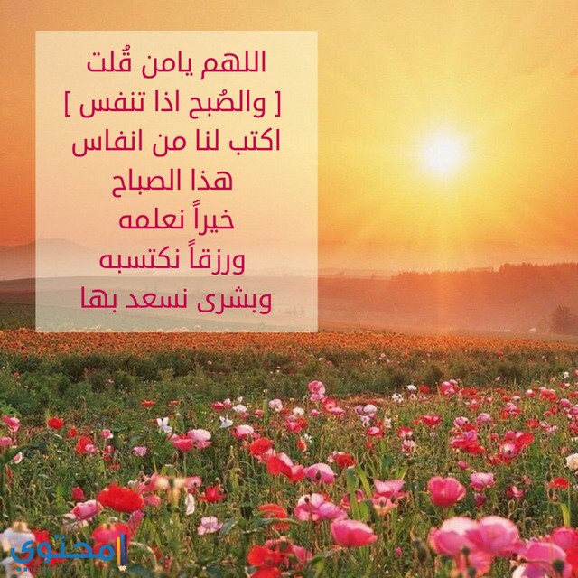 حالات واتس اب جديدة 2021 حالات Whatsapp مصورة ومكتوبة موقع محتوى