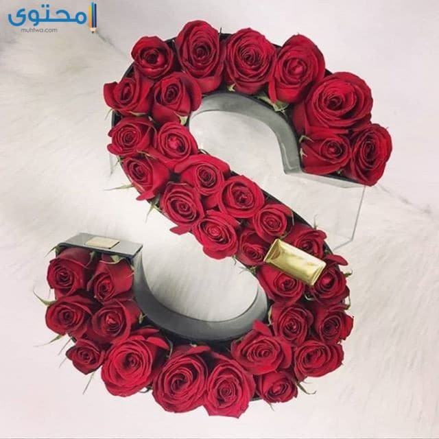 صور حرف S موقع محتوى