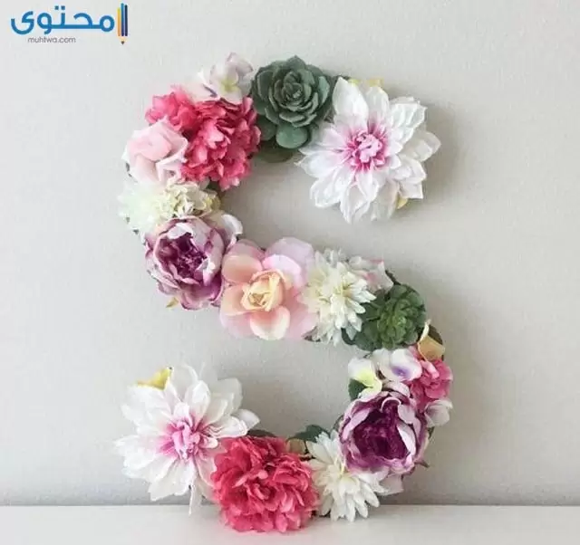 صور حرف S موقع محتوى