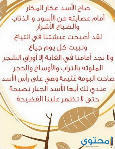 قصص مصورة للاطفال 2019