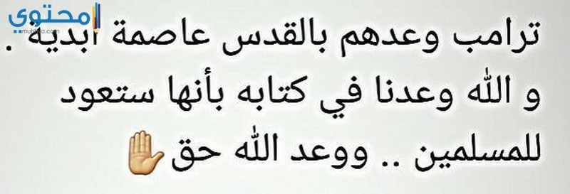 الذهاب لمشاهدة معالم المدينة الناي المرارة اقوى حكمه على وجه الارض Festivalpedicab Com