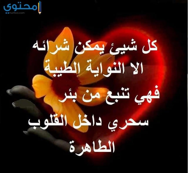 %D8%AD%D9%83%D9%85-%D9%81%D9%8A%D8%B3-%D8%A8%D9%88%D9%8332.jpg