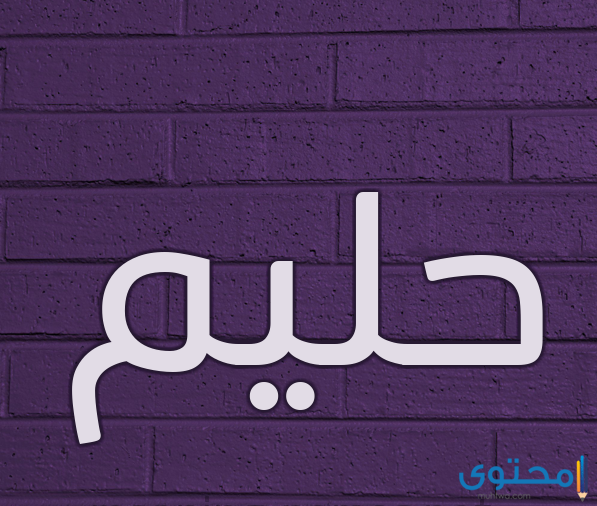 معنى اسم حليم