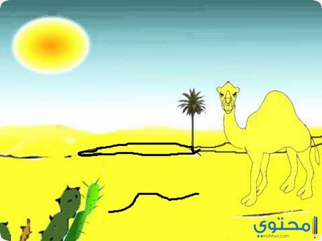 حواديت مضحكة للأطفال (الجمل حسن)