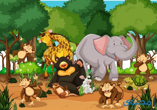 جميع صور حيوانات الغابة Hd اجمل صور خلفيات الحيوانات موقع محتوى