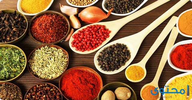 خطوات وطرق استيراد المنتجات من الهند