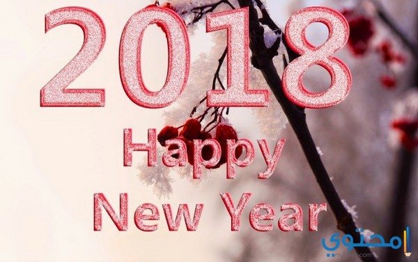 أحدث صور العام الجديد 2018