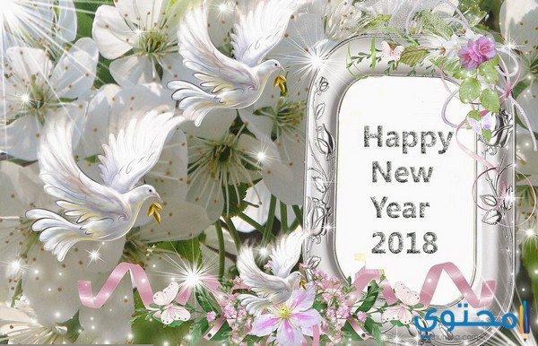 أحدث صور العام الجديد 2018