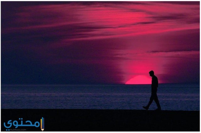 صور خلفيات لاب توب 2021 Hd موقع محتوى