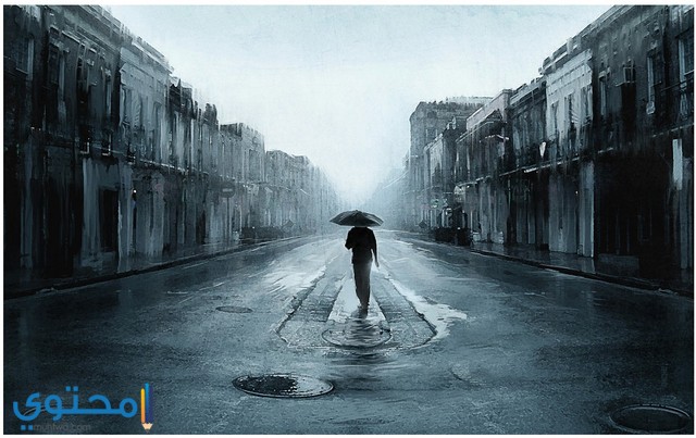 صور خلفيات لاب توب 2021 Hd موقع محتوى