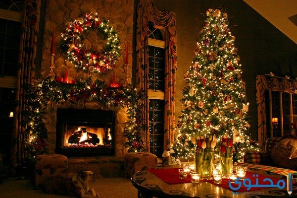أجمل صور عيد الميلاد المجيد