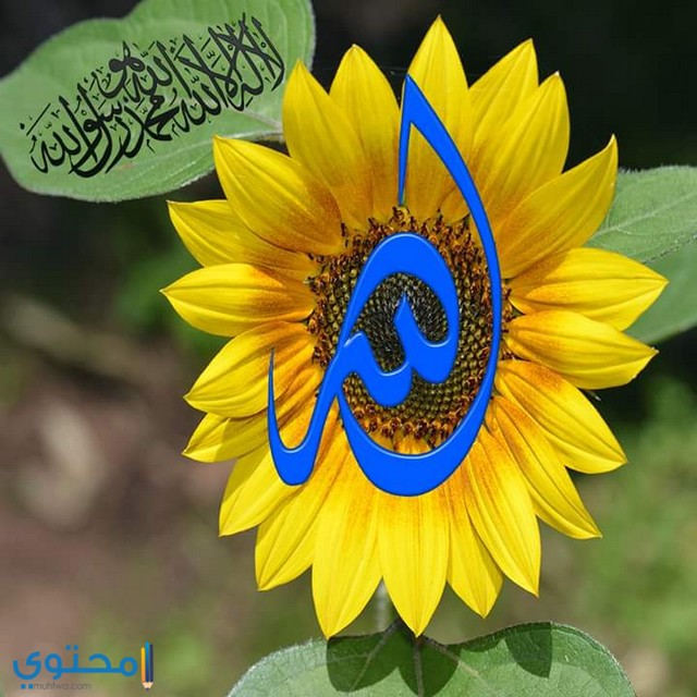 خلفيات لفظ الجلالة