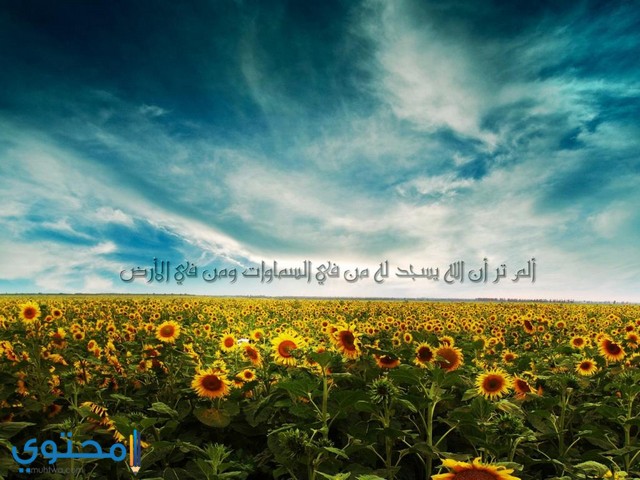 خلفيات اسلامية 2020