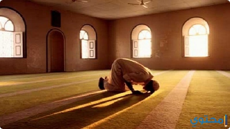 حكم دعاء القنوت ووقته