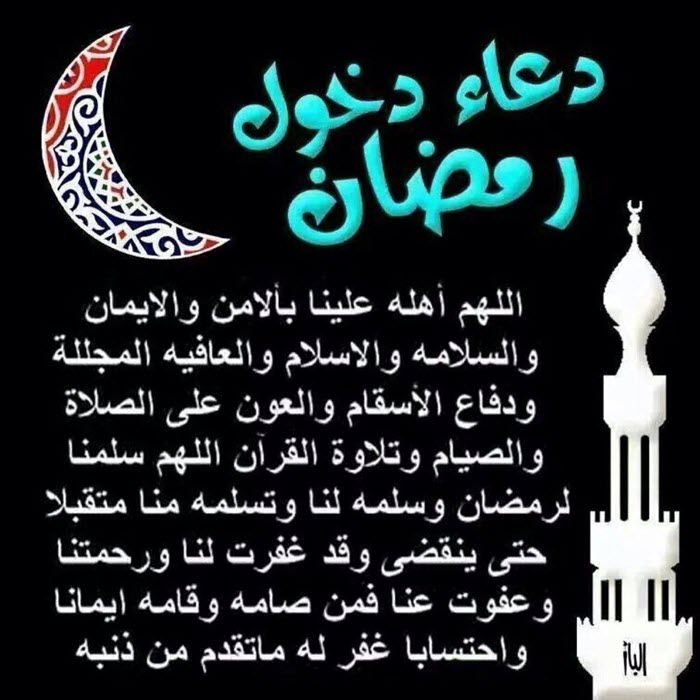 تريبكام1xnr2em
