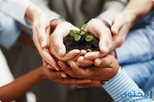 دعاء قضاء الحاجة من القران والسنة موقع محتوى