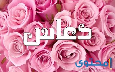 معنى اسم دعاس