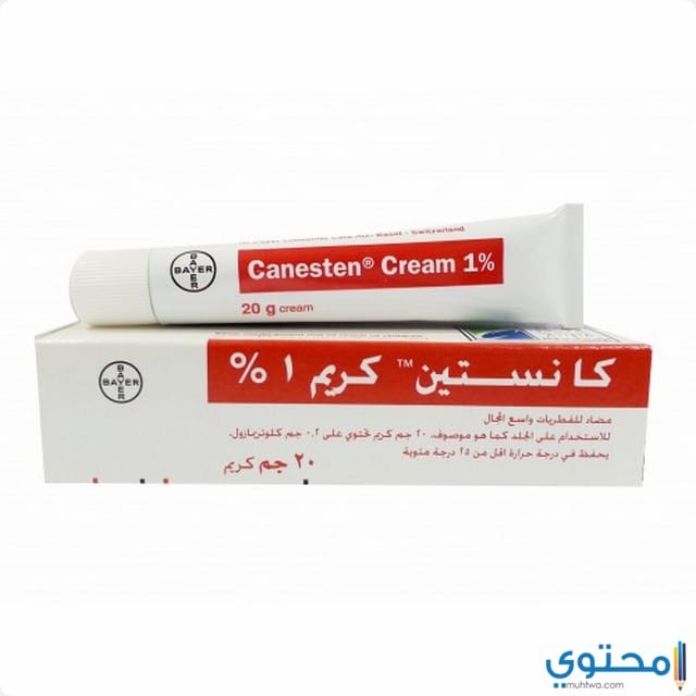 زهرة المدينة التوصل دجاجة كريم كانستين للاطفال rosedalemasterplan com
