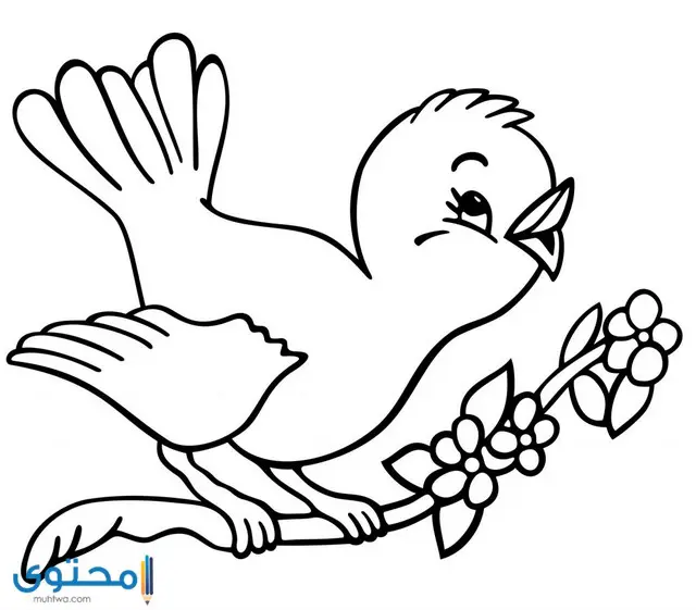 صور رسومات للتلوين للأطفال حديثة جاهزة للطباعة 2021 موقع محتوى