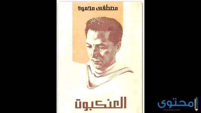 معلومات عن رواية العنكبوت