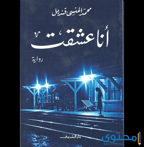 معلومات عن رواية أنا عشقت