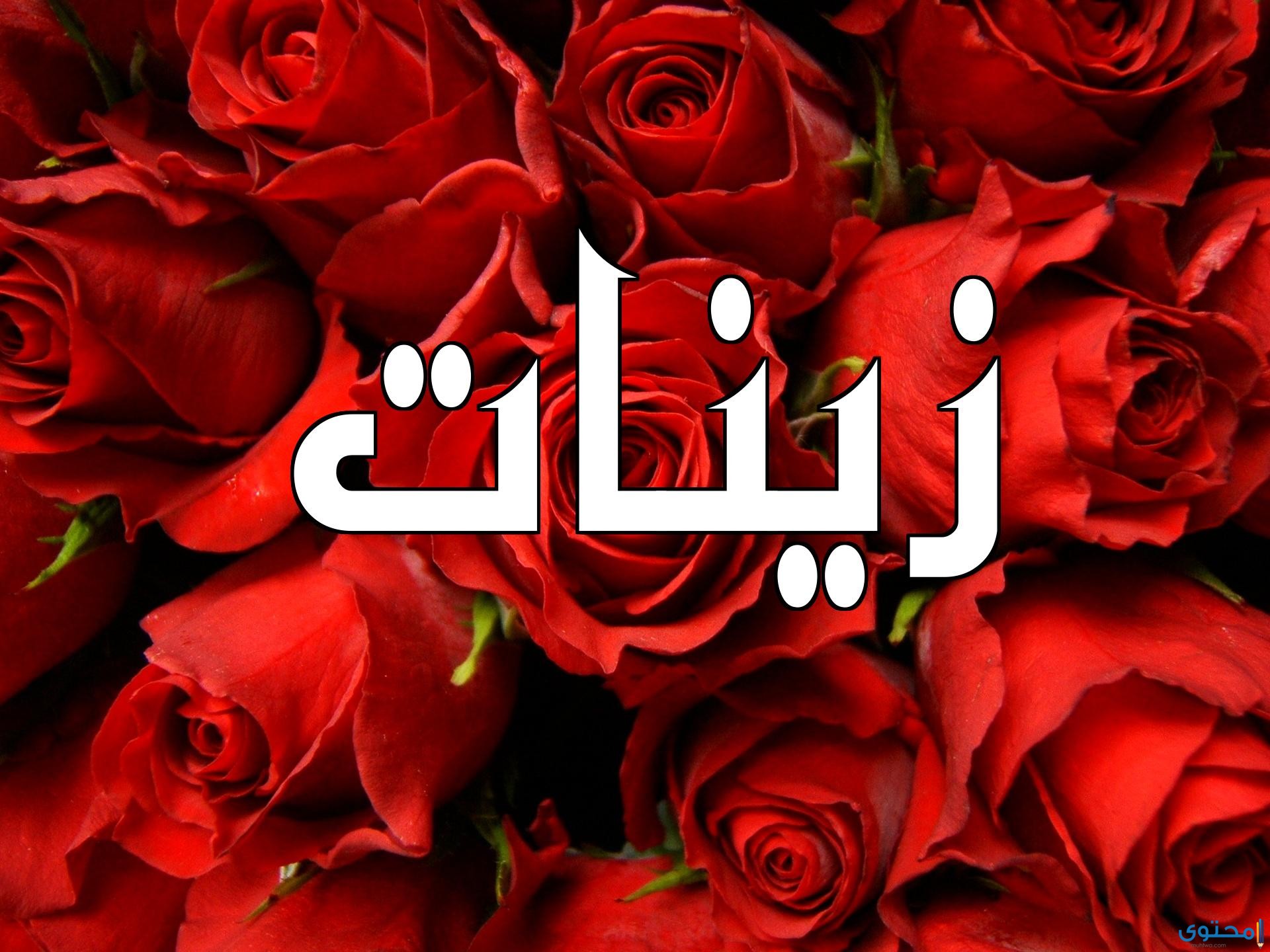 معنى اسم زينات