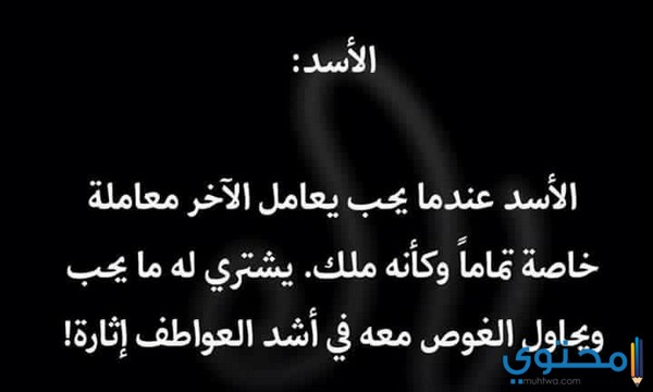الجرأة والشجاعة والإنسانية