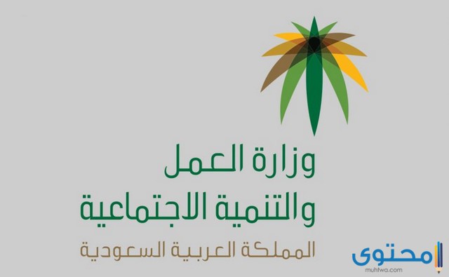 سلم اعانات التاهيل الشامل الجديد 1442 وشروط التاهيل موقع محتوى