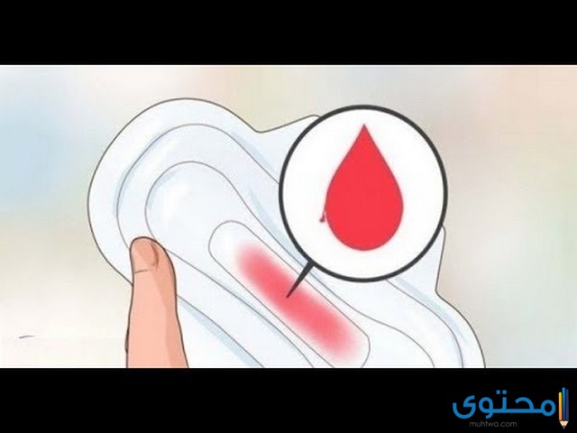شكل دم الحمل بالصور موقع محتوى