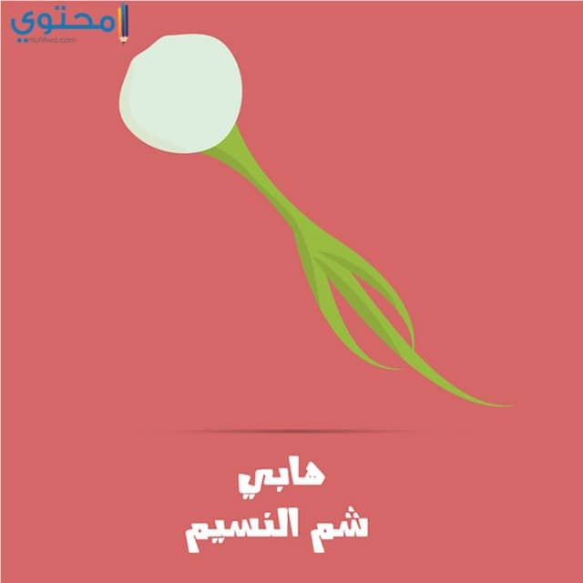 بوستات شم النسيم 2018
