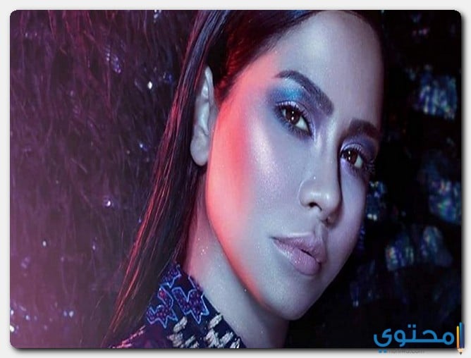 موعد طرح ألبوم نساي