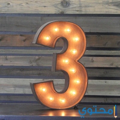 صفات وخصائص مسار الحياة رقم 3 موقع محتوى