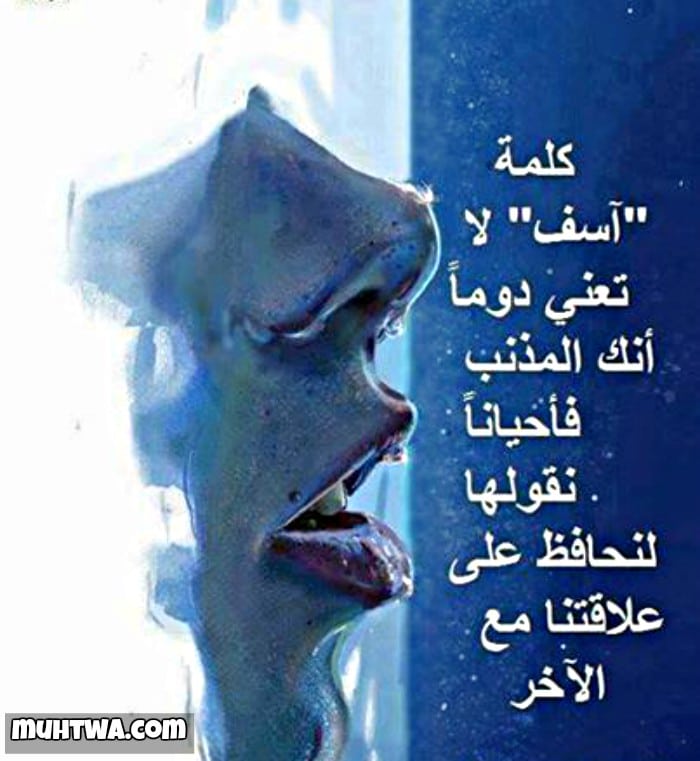 رد ع رسالة اعتذار Audio Drama Org