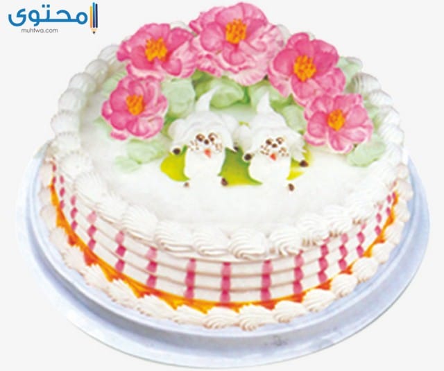اجمل تورتة في العالم