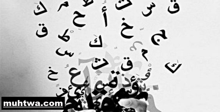 تعبير عن اللغة العربية بالعناصر الرئيسية - موقع محتوى