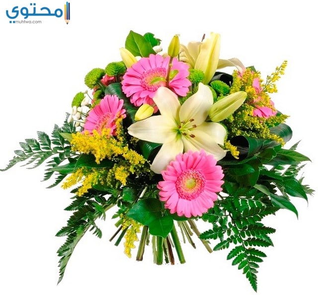 صور بوكيهات ورد روعة