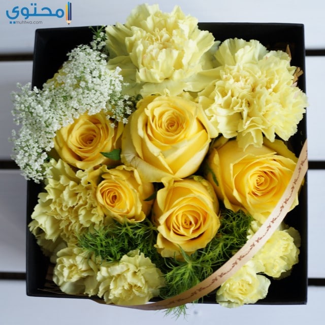 احلى بوكيه ورد