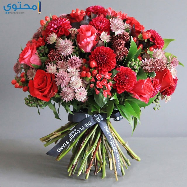 ورد عيد ميلاد