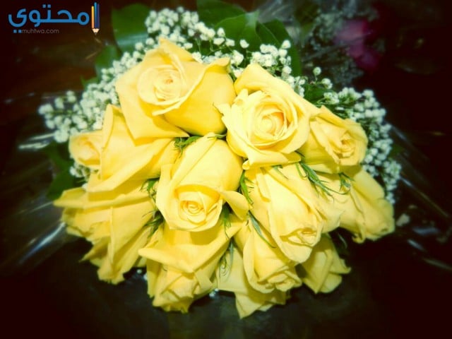 صور ورمزيات بوكيهات ورد