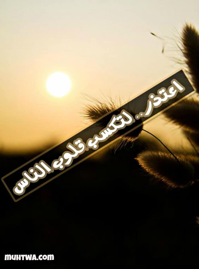 صور تعبر عن الإعتذار