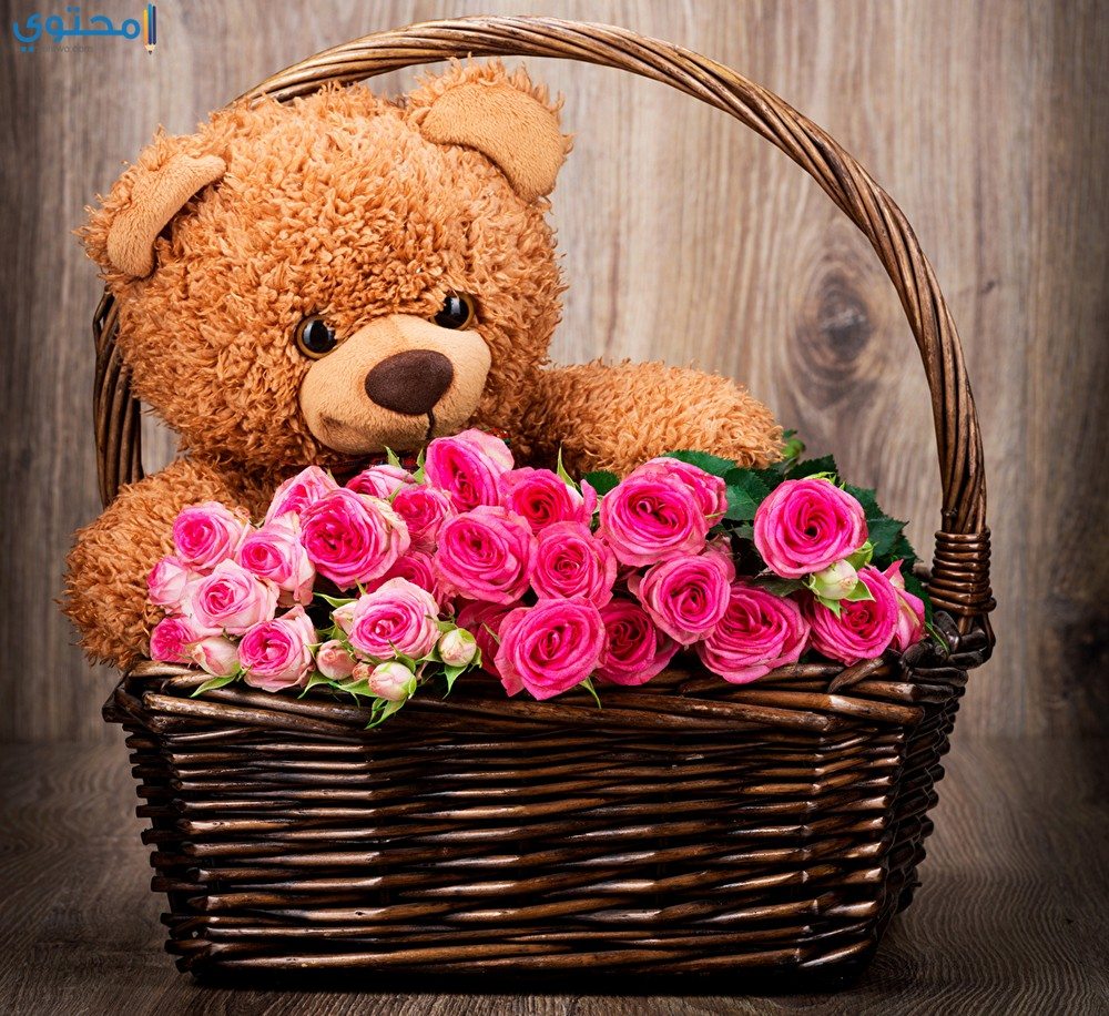 صور دباديب رومانسية 