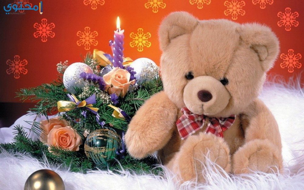 صور دباديب لعيد ميلاد
