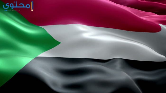 الثورة السودانية وعلم السودان القديم Sudaneseonline