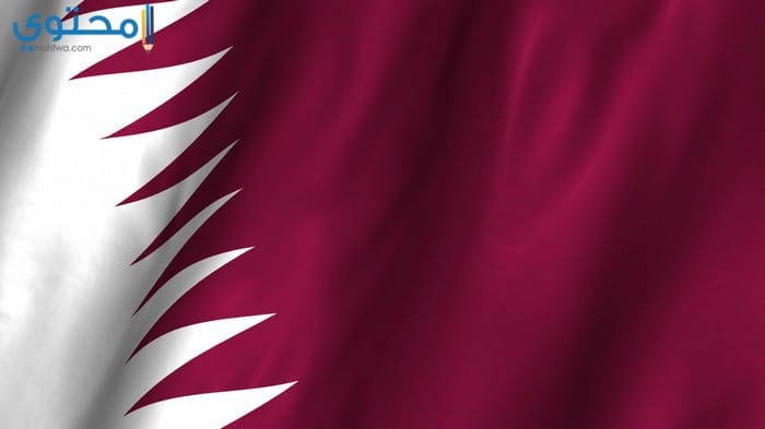 صور علم قطر شاهد خلفيات العلم القطري في موقع محتوى عالي الجودة