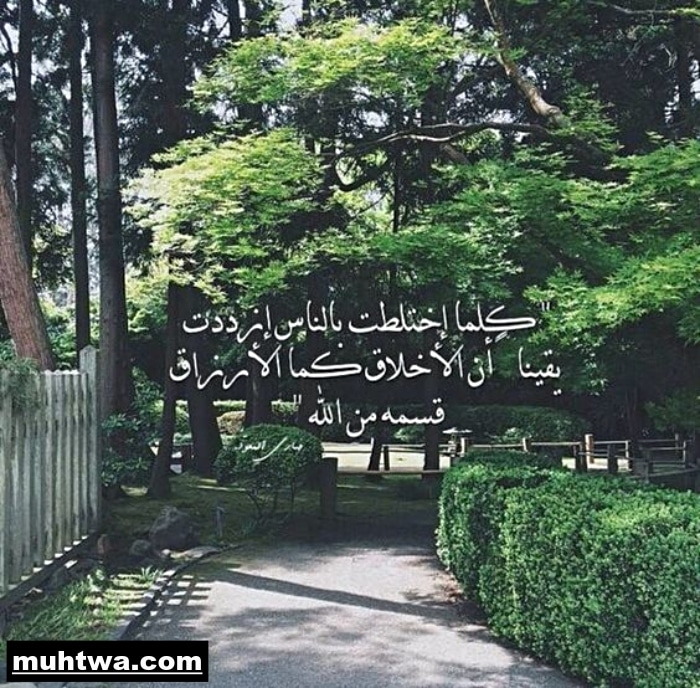 موضوع تعبير عن الاخلاق بالعناصر موقع محتوى