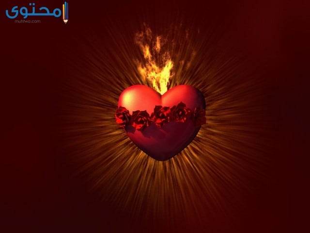 خلفيات حب وغرام