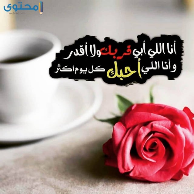 صور حب جديده