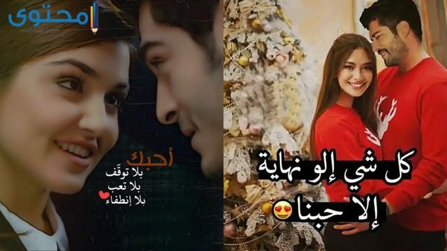 حالات حب جديده