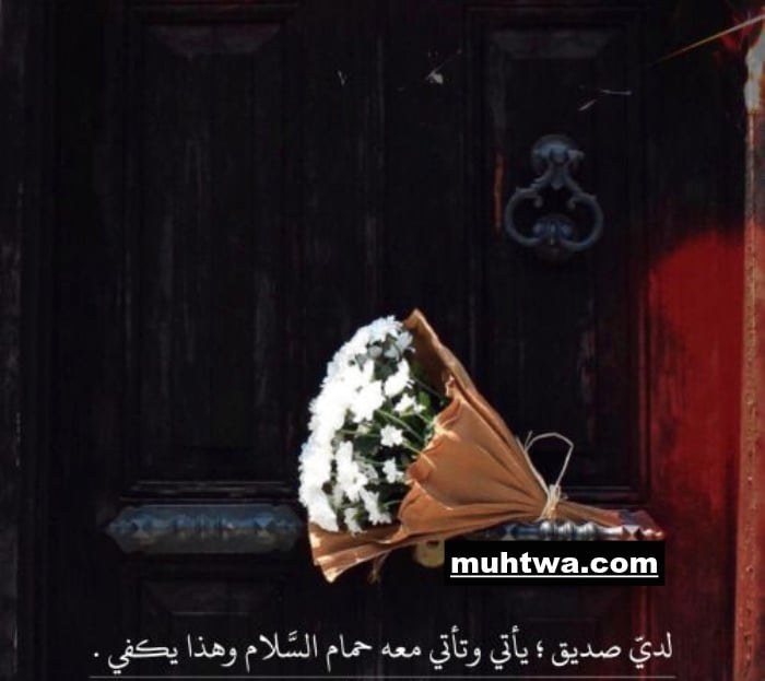 صور عن الصداقة