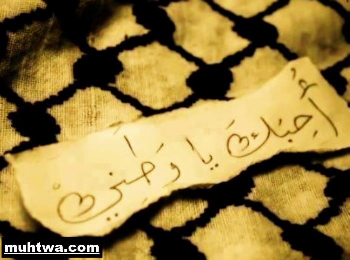 صور عن الوطن